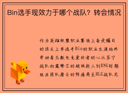Bin选手现效力于哪个战队？转会情况