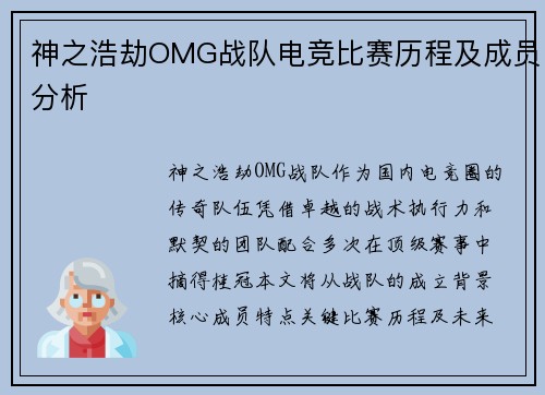 神之浩劫OMG战队电竞比赛历程及成员分析